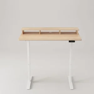 Height Adjustable Electric Desk Multi functional Sit Stand Desk with Charge Hole for Bedroom Computer Workstation Desk