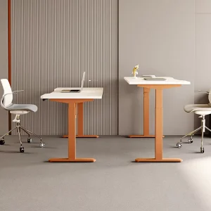 Height Adjustable Standing Desk Office Dual Motors Ergonomic Workstations Electrically Adjustable Staff Desk