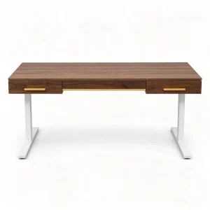 Height Adjustable Standing Workstation with Drawers Motorized Sit Stand Office Desk with Storage for Home Office Work