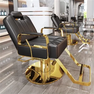 High Quality Ergonomic Modern Style Tiltable Barber Chair Multi Function with Hot Leather for Hotels Beauty Salons Spas School