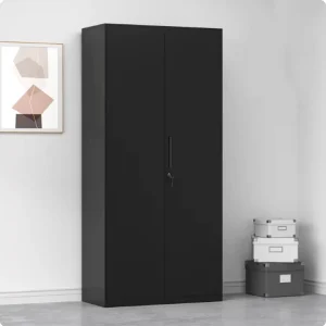 High Quality Office Filing Cabinet Metal Storage Cabinet Lockable 2 Door Steel Filing Cabinet for Home School Office Furniture