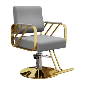 High Quality Synthetic Leather Gold Contemporary Commercial Barber Chair HESHI BC 1018 Workshop School Hospital Salon Equipment