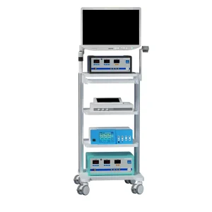Hospital Grade Mobile Workstation Endoscope Trolley with VESA Monitor Bracket and Silent Brake Wheels