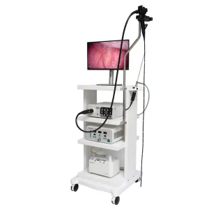 Hospital Medical Veterinary Portable Endoscope Veterinary Trolley Endoscope Veterinary Endoscope Dog Cat