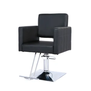 Hydraulic Lift Padded Armrests Durable Finish Salon Professional Styling Chair