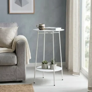 Indoor Outdoor Multifunctional Elegant Modern 2 tier Metal Round End Coffee and Side Table