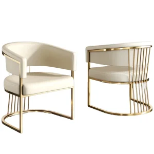 Iron Mesh Dining Chair with Rotating Seat Multi Function for Hotels Offices & Salons Nail Salon Luxury Eyelash Tech Chair