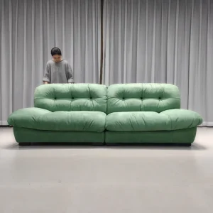 Italian Modern Durable Cloud Sofa with Matte Fabric Sofa Bed Two Seat Set for Apartment Hotel Mall Use