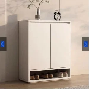Jeddah Corrosive Resistant Home Entryway Shoe Cabinet Organizer