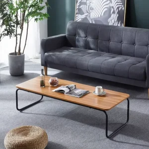 Korean Style Simple Low Height Long Coffee Table with Metal Legs Modern Design Easy Assembly