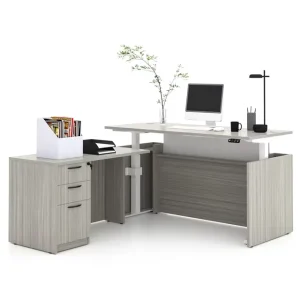 L Shape Executive Desk with Dual Motor Electric Adjustable Lifting Standing Ergonomic Office Desk Table