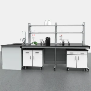 Lab Bench for Schools and Hospitals Stainless Steel Material Central Laboratory Workbenchs