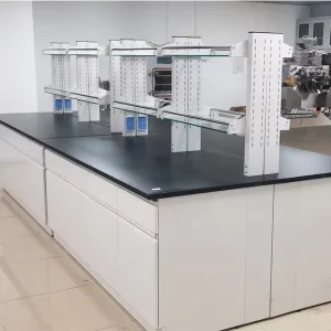 Lab Chemical Steel Table Biological Lab Work Bench Laboratory Desk With Storage Cabinet