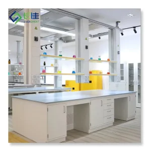 Lab Furniture Work Bench Wall Bench Laboratory Furniture with Movable Cabinet