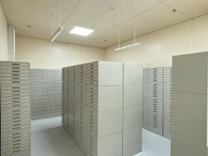 Lab Storage Cabinet Sample Storage Cabinet Steel Locker Medical Cabinet Chemical Storage Cabinets Vessel Cupboard