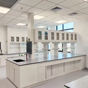 Laboratory Bench Fitting Laboratory Bench Science Dental Chemical School Equipment Countertop Epoxy Cleanroom Laboratory Table