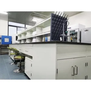 Laboratory Furniture Equipment Center Chemistry Lab Work Bench for Physics Science Biology Study Lab Table