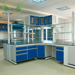 Laboratory Furniture Equipment Center Chemistry Lab Work Bench for Physics Science Biology Study Lab Table