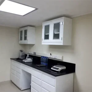 Laboratory Furniture High Quality All Steel Work Bench Lab Table for University and Chemical Labs