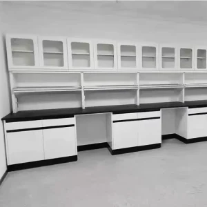 Laboratory Furniture School Modern Commercial Customized Lab Wall Mounted Cupboard Units for Laboratory Benches