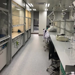 Laboratory Work Benches School Lab Table Pharmaceutical Lab Furniture Iron Customizable Lab Island Bench