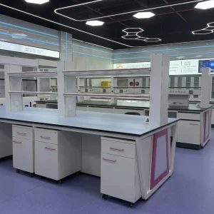 Laboratory Workbench Customizable Laboratory Furniture Steel Multi function School Lab Table Hospital