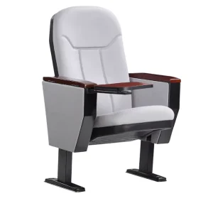 Lecture Room Auditorium Chairs Hall Seating Theater Room Chair
