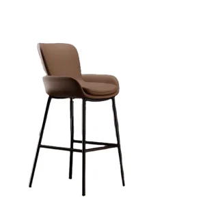 Light Luxury Modern Simple High Stool Bar Chair for Kitchen Island Front Desk or Home Bar