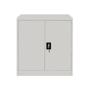 Low File Cabinet Office Steel Cupboard Iron Storage Cupboard Designs with Price