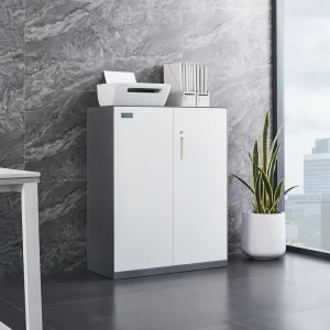 Low Height Modern Metal Storage Cabinet 2 Door Steel Credenza Sideboard Eco Friendly Office Changing Room School Home Furniture