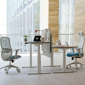 Luxury Dual Seat Height Adjustable Sit-Stand Desk DPG1C Modern Control Height Memory Safety Anti-Collision Eco-Friendly Bedroom