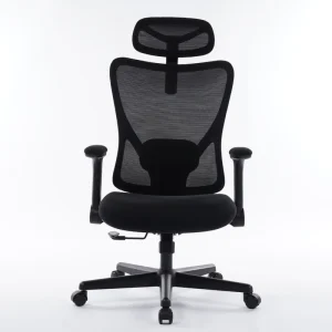 Luxury Executive Ergonomic Mesh Office Chair with Headrest Black High Back Desk Office Chair with 2D Lumbar Support and Armrests