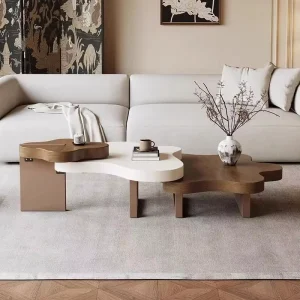 Luxury Wooden Furniture Designer Model Shaped Colorblocking Tea Table North American Black Walnut Combo Coffee Table