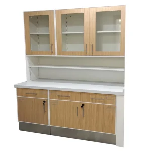Medical Cabinet and Hospital Cabinet All Steel with Wall Bench Wall Hanging Cabinet Lab Workbench