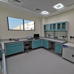 Medical Laboratory Workbench with Suspended Cabinet Laboratory Wall Bench Cabinet Laboratory Furniture
