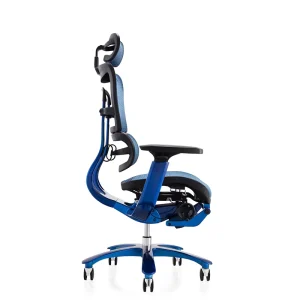 Mesh Ergonomic Office Seat Executive Office Chair