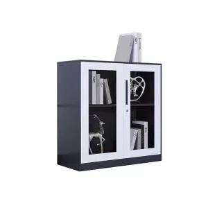 Metal Display Cabinet Glass Door Storage Cabinet Rectangular Showcase for Office Living Room