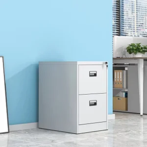 Metal Filing Cabinet Commercial Metal Furniture Two Drawers File Cabinet Steel Structure Locker System Storage for School Office