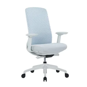 Mid Back Desk Chairs Office Adjustable Lumbar Ergonomic Mesh Fabric Office Chair