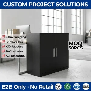 Minimalist 2 Door Low Storage Cabinet Lockable Metal Filing Cupboard Compact Office Storage Organizer with Adjustable Shelf