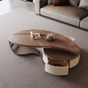 Minimalist Modern Designer Leaf Shape Tea Table Irregular Coffee Table and TV Stand Set for Living Room