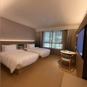 Minimalist Space saving Bespoke Color and Size Plywood Hotel Bedroom Sets for Hotel Hotel Furniture