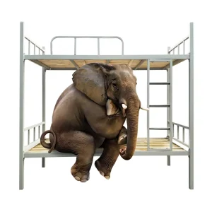 Minimalist Student Apartment Bunk Bed Double layer Dormitory High Low Iron Bed Multifunctional 0.9m Width