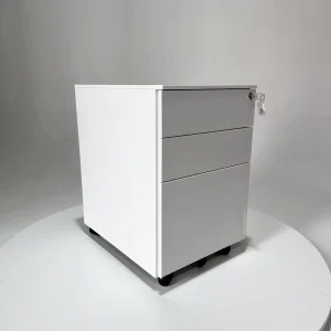 Moblie Cabinet Steel Office Filing Cabinet for Financial Vouchers Custom & Available