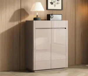 Modern 2 Door Shoe Cabinet High Gloss Finish Eco Friendly Compact Entryway Storage Home Apartment Top Shelf Decor Adjustable