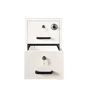 Modern 2 Drawer Fireproof Steel Filing Cabinet with 2 Hours Fireproof for Home Office Bedroom Gym Workshop Hotel Use