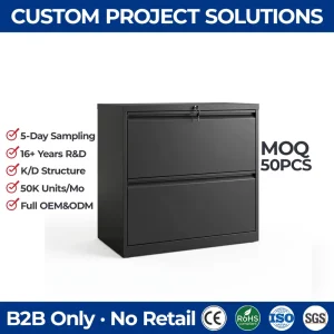 Modern 2 Drawer Lateral File Cabinet Heavy Duty Metal Steel Office Filing Cabinet with Central Lock