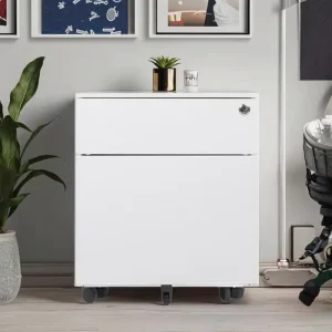 Modern 2-Drawer Stainless Steel Metal Filing Cabinet TL-261S