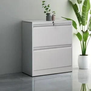 Modern 2 Drawer Vertical File Cabinet Lockable Metal Organizer for Apartment Office Legal Document Storage