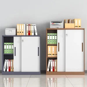 Modern 2 door Metal Cabinet Office File Cabinet with Lock and Adjustable Partition Storage Cabinet Office Home School Hospital